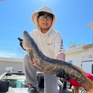 Meet your Posher, Bryan